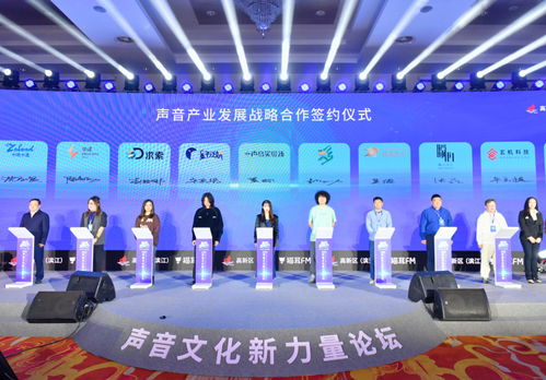 太医温实初现身杭州，数字内容制作大咖齐聚，共探声音艺术新篇章